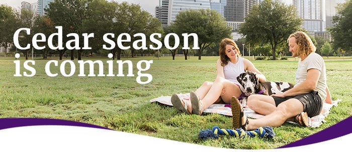 Image of a cedar tree releasing pollen, with the words Cedar season is coming